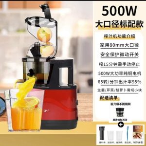 Slow Juicer